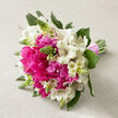 Resting gently on a neutral beige linen fabric, this elegant hand-tied bouquet captures the softness of a spring morning in Grove Park. The main focus is on the generous hot pink peonies at the centre, each one fully open and luxuriant, with layers upon layers of gently rumpled petals that invite the fingertips. Their colour is a vivid, warm pink - bold yet tender - drawing the eye inward to the heart of the arrangement. Interspersed with these showy blooms are clusters of white alstroemeria, whose slim, elongated petals create star-like shapes around a delicately marked throat. Fine streaks and speckles in soft maroon and blush tones trace the inner petals, adding an almost calligraphic detail that contrasts beautifully with the peonies' broad sweeps of colour. Rising from between the main flowers, slender green buds add a fresh, vertical accent, like new shoots in a garden bed. These buds give a sense of movement and growth, suggesting that some flowers are still waiting to fully unfold. Around the base of the bouquet, deep green foliage curves outward, framing the blooms and grounding the composition with its darker tones. The stems below are clipped to an even length and bound closely together by a pale pink ribbon, wrapped in smooth, overlapping turns that indicate a skilled, practiced hand - the kind of craftsmanship you might expect from an experienced Grove Park florist. The lighting is soft and diffused, with no harsh glare, so every element appears gentle and flattering. The bouquet feels ready to be carried down the aisle at a local Grove Park wedding, taken to a reception near the Thames, or delivered as a heartfelt gift to celebrate love, gratitude, or an important milestone.