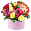 A vibrant, lush bouquet of multi-colored roses bursts from a round light pink hat box, a signature creation from Grove Park Florist. The dense cluster rises into a generous dome, with blooms at every stage of opening-from tight spray roses to fully opened, satin-soft blossoms-that give the arrangement a sense of life and motion. The palette glows with deep crimson red, sunny yellow, bright fuchsia, soft pastel pink, elegant magenta, lavender-purple, and creamy white, a painterly spectrum that feels festive yet refined. Dark green, glossy leaves weave between the petals, providing a natural foil that heightens the velvety texture and fresh fragrance of the roses. The pastel pink cylindrical box, with its smooth matte finish, anchors the bouquet in contemporary elegance, while a clean white background lets the colors read with gallery-like clarity. This piece is a celebration in color and form, a gift that speaks of warmth and generosity, crafted with care by a seasoned local florist. The scent-light, sweet, and budding-lingers gently, inviting companionship and conversation. Perfect for birthdays, anniversaries, or Valentine's Day, it radiates happiness and admiration. In Grove Park, such a striking arrangement often brightens living rooms and reception desks alike, paired with a handwritten note and a smile. Available for same-day delivery across Grove Park and nearby southeast London areas, it brings a tangible moment of joy to the doorstep, delivered with the familiar precision and warmth Grove Park Florist is known for.