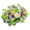 This image shows a beautifully composed funeral basket arrangement, photographed in a clean, white studio so that attention rests entirely on the flowers and their gentle interplay of colour. The basket is a pale, woven design with a smooth, arching handle in an off-white or cream tone, its curved line subtly echoing the rounded shape of the bouquet inside. At the centre of the design, a large creamy white rose unfolds in tight yet soft spirals, symbolising purity and heartfelt remembrance. On either side, deep purple calla lilies rise with sculptural grace, their velvety trumpet-shaped petals folding inward and catching the light, giving the piece a dignified, contemporary presence suited to services in Grove Park's quiet churches or crematoria. Threaded through the central flowers are pale lilac and lavender clematis, each with slender, pointed petals radiating around gentle yellow centres that add small, luminous touches. Cheerful yet understated yellow flowers, likely of freesia or alstroemeria type, are scattered throughout, creating tiny pockets of sunshine within the design. Towards the right, a single magenta gerbera daisy leans slightly outward, its ring of narrow petals forming a vivid circle of colour that feels like a personal tribute to a life lived fully. The blooms are nestled in generous green foliage: broad, glossy leaves provide structure and depth, while finer, lighter green sprigs soften the edges and lend a garden-like feel, as if freshly gathered near the leafy roads around Grove Park. A gentle shadow beneath the basket anchors it to the white surface, enhancing realism and depth. Overall, the arrangement communicates sympathy, peace, and a quiet celebration of memories, ideal for condolence deliveries and memorial displays.