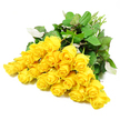 A softly radiant cluster of about twenty-four yellow roses is arranged across a clean white background, the flowers forming a generous spread of colour that draws the eye along its length. The roses vary in openness: some are small, rounded buds with petals tightly wrapped, while others are partially opened, revealing layered whorls of warm, golden yellow that deepen toward the centre. Their hue is reminiscent of the mellow sunshine that filters through the trees around Grove Park on a quiet afternoon, bringing light without harshness-an emotion well-suited to thoughtful sympathy flowers. Framing the blooms, rich dark green leaves create a pleasing contrast, their smooth surfaces catching subtle highlights as they overlap and angle in different directions. Here and there, the lighter underside of a leaf shows through, giving a hint of silvery green and making the arrangement feel as natural as if it had just been gathered from a riverside garden. At one edge of the image, the pale green stems are visible in a tapered bundle, aligned neatly to suggest a hand-tied bouquet about to be wrapped by a local florist for delivery to a remembrance service or a family home in the Grove Park area. The white backdrop strips away any distraction, focusing attention entirely on the curves of the petals and the interplay of light and shadow among the roses and foliage. While yellow roses often evoke friendship, in this setting they take on a tender, reflective quality, offering gentle reassurance and a soft, enduring glow of affection for those who are grieving.