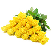 This image captures a graceful row of yellow roses, about twenty-four in total, arranged in a close, horizontal cluster that seems to drift across a bright white background. The flowers are positioned so that their faces are clearly visible, each bloom offering its own variation of the rose's classic form. Some are tight, rounded buds with petals spiralling neatly at the centre, while others are more open, their velvety petals folding back to reveal a fuller, softer heart of yellow. The colour is a warm, steady shade-bright enough to be uplifting, yet gentle enough to feel soothing, like the soft light over Grove Park's tree-lined paths on a calm morning. Deep green leaves weave between the blooms, their smooth surfaces and serrated outlines lending structure and a cool contrast to the yellow. Now and then, a glimpse of sturdy stem and a small thorn reminds the viewer that these flowers are freshly cut, real and unembellished. The overall lighting is even and calm, casting only the faintest shadows and giving the bouquet a sense of peaceful stillness. While the roses bring to mind friendship and warmth, the simplicity of the arrangement and the clean, white space around it create a quiet, contemplative feeling. It is easy to picture this cluster of yellow roses being chosen for a sympathy delivery in Grove Park or nearby Chiswick, intended to offer gentle support, sweet remembrance, and a reassuring touch of light in a time of sorrow.