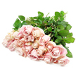 On a crisp, uncluttered white backdrop, an abundance of about 24 delicate light pink roses lies fanned out, as if just set down by a florist's careful hands. The blossoms are gathered close together at the top, creating a lush crown of petals, while the stems extend neatly beneath, forming a structured base that keeps the arrangement grounded. Each rose varies slightly in openness: some remain tight and bud-like, while others begin to reveal a full, spiralling heart. The colour palette is soothing and refined-blush pink with dusty rose undertones, gently washed with champagne and cream along the outer edges. In the recesses of the petals, there are soft lavender shadows, enhancing their rich, velvety texture and adding a feeling of subtle depth. Dark green leaves emerge around and beneath the blooms, their cool, glossy surfaces framing the pastel petals and emphasizing the freshness of the roses. The lighting is bright but gentle, creating a sense of serenity and clarity, much like the quiet calm of an early walk through Grove Park's residential lanes before the day fully begins. No ribbon, vase, or decorative detail distracts from the simplicity of flowers and foliage-it is all about the purity of the roses themselves. This image conveys a deeply sympathetic mood, suitable for a condolence bouquet delivered to a family in Grove Park or nearby Chiswick and Lewisham borders, where the soft colours and graceful forms can bring a moment of comfort and a tangible expression of care during times of mourning or reflection.