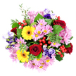 In this photograph, the bouquet is captured directly from above, forming a compact, rounded cluster of blooms that seems to float against the pure white background. Rich red roses anchor the design, their tightly furled, velvety petals creating small spirals of colour that immediately convey romance and heartfelt emotion. Bright yellow gerbera daisies, with their bold, daisy-shaped heads and dark central discs, bring a strong burst of sunshine brightness, enlivening the whole arrangement. Surrounding and linking these focal flowers, soft pink and light lilac chrysanthemums spread in feathery mounds, their fine, needle-like petals and pale yellow-green centres lending both softness and a welcome sense of airiness. Tucked between them, lisianthus blooms in deep purple, gentle lavender, and powdery blue add a more elongated, bell-like form and a sophisticated, slightly dreamy tone. The bouquet is framed by varying shades of green foliage: some leaves wide and glossy, others smaller, rounded, and reminiscent of eucalyptus, introducing cooler, silvery hints that echo the calm greenery found in Grove Park's nearby open spaces. Small clusters of bright red hypericum berries are placed thoughtfully throughout, glistening like tiny beads and offering an extra note of cheerful contrast. The lighting is bright but gentle, clearly revealing textures-from the matte gerbera centres to the polished berries-without overpowering glare. Overall, the arrangement feels abundant and joyful yet harmonious, the sort of mixed bouquet that could arrive at a Grove Park doorstep for a birthday, a thank-you, or simply to bring a vivid touch of nature into a home overlooking the riverside or leafy suburban streets.