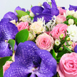 The photograph offers an intimate, almost tactile view of a luxurious bouquet, inviting the viewer to imagine leaning in close. At the centre of the design are several large Vanda orchids in a rich shade of purple, their petals wide and slightly cupped, overlaid with a darker violet mesh pattern that gives them a mesmerizing, jewel-like quality. Embracing these orchids on all sides are clusters of roses in blended tones: soft blush pink roses that feel gentle and romantic, mid-pink roses with a more vibrant presence, and creamy white roses tinged with the faintest wash of pale yellow at their hearts. Each rose is composed of tight, spiralling petals that suggest freshness and care. Nestled in the spaces between, white Hypericum berries appear in small, rounded bunches, their waxy surfaces reflecting little points of light, while fluffy white filler flowers-likely miniature chrysanthemums or carnations-fill the gaps with a light, airy texture. The foliage is layered and nuanced, mixing glossy, bright green leaves with soft, silver-green sprigs similar to Dusty Miller, which add a cool, velvety element that gently frames the brighter blooms. The entire arrangement is photographed against a plain white background, bathed in soft, even light that highlights every curve and shadow without harshness. The impression is of quiet luxury and heartfelt sentiment, the sort of bouquet you might send to celebrate a new home in Grove Park, to comfort a friend by the river, or to bring a touch of beauty to a family gathering in nearby Chiswick. Thoughtfully arranged by local hands, it speaks of care, artistry, and the simple joy of having fresh flowers delivered to your door.
