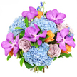 Set against a clean, luminous white background, this bouquet appears both modern and opulent, as though composed for a special gathering along the leafy streets of Grove Park. At the base are lush clouds of sky-blue hydrangeas, tightly clustered into rounded forms that look soft and pillowy, every small petal overlapping to create a smooth, quilted texture. Rising from this calm sea of blue, bold Vanda orchids in vivid magenta-purple claim the spotlight, their broad, open petals heavily speckled with deeper tones that give each flower an intricate, almost patterned look. Threaded gracefully through the composition are full roses in a refined lavender-grey or dusty mauve, opening in layered spirals that bring a sense of delicate romance and understated luxury. Scattered among these cooler shades, smaller roses in peach and gentle orange provide bright, cheerful accents, like warm shafts of sunlight breaking through clouds over nearby Chiswick and the river. From the top and edges, slender stems of deep indigo delphinium reach upward, introducing elegant vertical lines and a touch of wild garden character. Fresh green foliage is tucked around and beneath the blooms, offering natural contrast and supporting the shapes without competing for attention. The bouquet is densely packed yet carefully balanced, with cool blues and purples harmonising beautifully against the warmer orange notes. Bright, even lighting highlights each petal's texture and colour, giving the whole arrangement a polished, celebratory feel. It is easy to imagine this bouquet arriving as a same-day delivery to a home in Grove Park, marking an anniversary, congratulating a new achievement, or bringing a sense of joy and sophistication to any room.