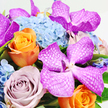 This photograph presents a sumptuous bouquet viewed from above, arranged with an artist's eye for colour and texture. Set against a clean white background, the blooms appear vivid and sculptural. At the core are several large Vanda orchids in bold fuchsia and deep magenta, their open petals adorned with fine white, net-like veining that creates a sense of intricate pattern and exotic refinement. Threaded between these orchids are luscious roses that offer both contrast and harmony. A bright orange rose positioned toward the lower left glows with almost fiery intensity, its tightly packed petals curling inward in a striking spiral, while a neighbouring rose in soft lavender-mauve introduces a calmer, romantic tone, like a quiet moment on a peaceful side street in Grove Park. Providing structure and softness, a generous bed of pale blue hydrangeas fills the central and upper sections of the design. Each hydrangea head is made up of countless tiny florets, combining into a cloud-like cushion that gently supports and frames the more dramatic blooms. Small touches of fresh green foliage peek out between the flowers, bringing a sense of garden freshness and a nod to the leafy parks and riverside paths nearby. The composition is tight and abundant, with blooms nestled closely together to form a rich, continuous tapestry of colour. Soft, even lighting enhances the natural sheen of the orchid petals and the velvety texture of the roses, without creating harsh glare. The bouquet feels joyful yet sophisticated, perfectly suited for celebrations, intimate dinner parties in Grove Park, or as a luxurious gift delivered to brighten someone's day.