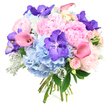 This image shows a beautifully composed round bouquet set against a crisp white background, where each flower contributes to a harmonious interplay of colour and form. Dominating the centre are lush light pink peonies, their many-layered, ruffled petals forming generous blooms that exude softness and romantic appeal, like the gentle blush of evening light along the nearby Thames. These are cradled by voluminous clusters of sky-blue hydrangeas, whose numerous small petals gather into large, cloud-like domes, adding cool tones and airy fullness to the design. Threaded throughout the pastel palette are deep violet Vanda orchids, their open, flat petals patterned with delicate speckles, providing a bold, exotic highlight that instantly catches the eye and introduces a touch of modern drama. Nestling in graceful arcs, calla lilies in shades of blush pink and peach weave through the arrangement, their smooth, trumpet-shaped blooms bringing a sleek, contemporary elegance that contrasts beautifully with the more textured peonies and hydrangeas. Tucked gently between these focal flowers are clusters of pale pink spray roses, their tight buds and petite blossoms adding a finer scale of detail and a subtle, classic charm. Dark green foliage underpins the arrangement, while silvery-grey Dusty Miller leaves, with their soft, velvety texture and frosted hue, lend additional depth and a cool, ethereal note. The stems are neatly tied at the base, suggesting a freshly hand-tied bouquet prepared for a special delivery to a Grove Park home or a celebration nearby. The overall mood is one of grace, joy, and quiet sophistication, perfect for anniversaries, romantic gestures, or meaningful heartfelt occasions.
