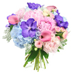 This hand-tied bouquet, shown against a smooth white background, feels like a moment of quiet luxury captured in bloom, the sort of arrangement you might send to a loved one in Grove Park to mark a cherished milestone. At its heart, generous light pink peonies are fully open, their profusion of ruffled petals layered so densely that they form a plush, romantic centrepiece, soft both in colour and texture. Encircling them, rounded clusters of powdery blue hydrangeas stretch outward, their countless tiny blossoms melting into a cloudlike base that cools and balances the bouquet's warmer tones, like a soft sky after rain. Threaded through this pastel landscape, deep purple Vanda orchids add a dramatic, jewel-toned presence, their broad petals patterned with distinctive speckles that introduce an exotic, sophisticated edge. Sleek fuchsia calla lilies arc from the arrangement with graceful curves, their trumpet-shaped blooms offering a bolder pink accent and a strong, modern line that keeps the eye moving. Tucked in and among these larger flowers, blush pink spray roses add a more delicate scale and old-world charm, their tightly cupped forms conveying tenderness and intimate affection. Around the outer edges, a mix of glossy dark green foliage and velvety, silvery-green dusty miller creates a lush, textured frame, the cooler leaves softening the overall palette and inviting the fingertips to explore. The natural stems are gathered and tied at the base, clearly visible, emphasising that this is a freshly crafted, artisan bouquet ready for delivery along the quiet streets near Grove Park station or towards Chiswick. Radiating elegance, calm joy, and romance, it suits weddings, anniversaries, and any occasion when you wish to send a message of heartfelt beauty.