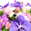 This image shows an opulent bouquet arranged in a palette of pinks, purples, and soft whites, floating against a bright white background as though poised on the counter at Grove Park Florist ready for delivery. At its core, dramatic Vanda orchids in deep violet and lilac immediately draw the eye, their broad petals patterned with intricate, mesh-like veining that lends each bloom a sense of exotic rarity. Cradling these statement flowers are sumptuous peonies whose petals layer and swirl from the palest, almost powdery pink to a richer blush, creating a plush, cloud-like texture that feels both romantic and indulgent. Threaded between the peonies are pink roses, some still shy in tightly furled buds, others fully open, displaying velvety spirals that speak of affection, gratitude, and quiet celebration. Small white pom-pom chrysanthemums and daisy-style blossoms are scattered throughout the bouquet, adding bright, crisp sparks that lift the deeper tones and give the arrangement a feeling of light and movement, like dappled sunshine along the paths near Grove Park station. Surrounding everything is a halo of glossy green foliage, including a few variegated leaves that bring visual interest and a fresh, garden-picked quality. The flowers are packed closely, creating a feeling of abundance and luxury, yet the clean white backdrop and even lighting keep the overall impression airy and modern. Every petal edge, vein, and ruffle is clearly visible, capturing the care and precision of an experienced local florist. The mood suggests a bouquet chosen for an anniversary, a special birthday, or a meaningful thank-you, ready to be delivered across Grove Park, Chiswick, or the nearby riverside streets.