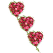 Set against a bright, uncluttered white background, three heart-shaped floral tributes appear to drift gently from the top left to the bottom right, forming a soft diagonal line across the image. Each heart is lavishly composed of roses in romantic shades of deep red, crimson, scarlet, hot pink, coral, and delicate blush. The roses are placed closely together so that their petals seem to blend into one another, creating a dense, velvety tapestry of colour and texture. Some blooms remain snug in bud, others are softly opening, and a few are fully open, their centres layered and intricate, like tiny spirals of silk. Encircling the hearts is a border of rich green ivy; the leaves are smooth and slightly glossy, neatly following the curves of each heart. Slender ivy tendrils wander outward and connect each heart to the next, forming a visual chain that evokes continuity, shared memories, and enduring love, much as families and neighbours remain closely tied within the Grove Park community. The contrast between the strong reds and pinks and the cool, natural greens gives the arrangement depth and clarity, while the white background keeps the overall look calm and uncluttered. This triple-heart composition feels ideal as a funeral or sympathy tribute, something you might see at a service in Grove Park, expressing affection, respect, and farewell in a way words sometimes cannot. Every element-from the precise heart outlines to the flowing ivy-reflects the steady hand and sensitive eye of an experienced local florist, resulting in a design that speaks of both artistry and heartfelt care.
