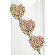 A serene and romantic funeral tribute is depicted here, featuring three cascading hearts formed entirely from roses and framed with soft greenery. The hearts are positioned along a diagonal line, drifting from upper left to lower right, as though they are gently descending, one memory leading into the next. Each heart is densely filled with small pastel roses, primarily in muted lavender and dusty mauve tones, interspersed with touches of light, powdery pink. The close clustering of blooms creates a velvety, quilt-like texture, while the mixture of buds and open flowers adds subtle movement and life. Fresh ivy vines trace the outer edges of each heart, their slender stems looping and interlacing to shape every curve before continuing on to connect with the next heart down the cascade. The ivy's rich green leaves provide a vivid, natural contrast against the soft roses, symbolising continuity and growth even in times of loss. Behind the arrangement, a bright white background keeps the focus entirely on the flowers, with gentle, vertical reflections that suggest glass panels or a sleek stand, much like something you might see in a thoughtfully arranged service in Grove Park or a nearby church hall. The lighting is gentle and diffused, giving the roses a soft glow and making the tribute feel peaceful and contemplative. This floral design would be especially meaningful as a family tribute or a gesture from close friends, a way of saying a tender farewell while honouring a life that linked many hearts together within the Grove Park community and beyond.