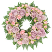 A tranquil circular wreath for a funeral or memorial is photographed from above against a pure white background, its form both complete and comfortingly full. The composition centres on large, open roses in a palette of dusty lavender, antique mauve, and soft grey-purple, their numerous petals layered in tight spirals that gradually loosen toward the edges. These blooms appear velvety and substantial, each one a gentle focal point along the ring. Threaded between them are smaller blush pink spray roses and petite rosebuds, some only beginning to show colour at the tips. Their lighter, more delicate presence softens the cooler purple hues and brings a sense of tenderness and quiet hope to the design. The entire arrangement is held together by a generous base of dark green fern fronds, probably leatherleaf or a similar variety frequently used by Grove Park florists. The ferns radiate outward in overlapping layers, their finely divided leaflets creating a textured border that frames the flowers like a natural halo. The overall lighting is even and soft, allowing the viewer to discern every subtle petal curve and fern vein without harsh contrast. This wreath would be fitting resting beside a casket or urn at a Grove Park chapel, or carried gently to a graveside, where its harmonious combination of lavender, pink, and green would speak of peace, remembrance, and affection. The design has a quiet, composed presence, as though intended to offer a final, graceful farewell from family and friends who wish to honour a life with beauty and care.