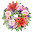 A serene, circular wreath designed for funerals or memorial services is presented here against a spotless white background, highlighting its soft colours and detailed workmanship. The arrangement is full and cohesive, built on a dense foundation of mixed greenery. Silvery eucalyptus leaves, light, feathery ferns, and darker green foliage weave together to form a textured ring that feels both natural and carefully composed, not unlike the leafy calm found in parts of Grove Park. Along this green base, generous clusters of blush pink roses bloom in open spirals, their velvety petals imparting a sense of gentleness and compassion. Among them, lisianthus flowers in shades of pale pink and rich, deep purple emerge with ruffled, cupped petals, adding visual depth and an almost cloud-like softness. Two prominent Asiatic lilies in a warm orange-red hue occupy opposite points of the circle, their star-shaped flowers and visible stamens serving as bold but dignified focal accents. Cool blue eryngium thistles, with their spiky forms, punctuate the arrangement, while delicate sprays of tiny lavender-blue flowers, similar to statice, create a soft, airy veil across the front of the wreath. A few closed lily buds are nestled within the foliage, suggesting continuation and the quiet unfolding of memory over time. Curled and folded bright green leaves are placed near the lilies, giving a refined, modern touch that speaks to skilled local floristry. The overall mood of this wreath is one of quiet respect and enduring love, an appropriate floral tribute to be delivered to services in and around Grove Park, offering gentle comfort to those saying their goodbyes.