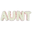 This image depicts a tender funeral tribute spelling the word AUNT in large, block-style letters created entirely from white chrysanthemums. The flowers are tightly packed across each letter, with soft, feathery petals overlapping to form a deep, plush texture that looks almost like a snowy blanket moulded into shape. The tiny central discs of the blooms show a hint of yellow, introducing a delicate warmth to the otherwise crisp white arrangement. Encircling the outside edge of every letter is a pale pink satin ribbon, lightly ruched to create a soft, rippling ruffle that hugs the contours of the text. This pastel pink border adds a loving, feminine touch, highlighting the outline so the word stands out clearly when viewed at a distance during a funeral or memorial. The background is a clean, bright white, and the lighting is evenly balanced, bringing out the fine structure of each petal and the subtle sheen of the satin ribbon without casting harsh shadows. The letters stand in a straight, evenly spaced row, as they would on a tribute frame displayed beside a coffin, at the front of a chapel, or in a reflection area. It is the kind of personalised floral piece families around Grove Park might select when they wish to honour an aunt who played a quiet but important role in family life. The overall impression is calm, respectful, and gently comforting, a floral message of love and remembrance expressed in simple, harmonious tones of white and blush pink.