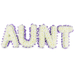 A serene memorial composition spelling the word AUNT in large, graceful capital letters, each letter built from a dense, cloud-like carpet of pristine white spray chrysanthemums. The small, tightly packed florets form a soft textured surface; where petals part you can see the pale yellow centres peeking through like quiet sunbeams. A deep purple satin ribbon, gently ruched and scalloped, traces the outer edge of every letter, the satin catching the light and creating a subtle sheen that frames the white blooms with dignified contrast. Soft, neutral studio lighting falls across the arrangement from the left, throwing gentle grey shadows beneath each letter that emphasize the three-dimensional form and the sturdy letter frames beneath the flowers. The chrysanthemums carry a fresh, green, slightly dewy scent that reads as cleanliness and calm rather than heaviness, and the overall effect is one of tender reverence: a tribute that reads as both personal and universally comforting. Arranged by experienced hands in Grove Park, the piece conveys meticulous technique - hundreds of stems wired and placed to create even surfaces, secure edges and neat ribbon pleats - yet it retains an approachable softness, like the memory of a kind voice. This floral lettering is intended for funeral or memorial use, offering a personalised expression of love and remembrance for an aunt. It is suitable for placement at a service or graveside and is available for local delivery across Grove Park and nearby neighbourhoods such as Lee and Hither Green, ensuring families can share a calm, respectful farewell when it matters most.