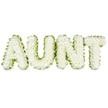 Here, the word AUNT is depicted as a beautifully composed floral arrangement, with each bold capital letter completely carpeted in white chrysanthemums. The flower heads sit shoulder to shoulder, creating a thick, even layer of petals that looks soft and cushioned, as though you could press your hand gently into the surface and feel the cool, velvety bloom of each chrysanthemum. The whiteness of the flowers suggests purity and serenity, an appropriate reflection for a farewell tribute. Around the outside of every letter runs a narrow yet distinct trim of fresh green foliage or neatly pleated ribbon, the colour reminiscent of the leafy avenues and riverside walks not far from Grove Park. This green edging adds a delicate frill and gives definition to the floral letters, sharpening their outlines so that the word is instantly recognisable. The tribute is set against a plain, light-toned background, free from other distractions, allowing the eye to rest fully on the flowers and the message they convey. You can almost detect the subtle, green scent of the chrysanthemums, gentle and discreet rather than overpowering, supporting the quiet, reflective mood. The overall feeling is of care and intention, as though each bloom was placed with specific love for an aunt who meant a great deal to her family. It is easy to imagine this arrangement being delivered to a funeral service in Grove Park, where it would rest alongside other sympathy flowers, quietly expressing gratitude, remembrance, and the enduring affection that remains long after a loved one has gone.
