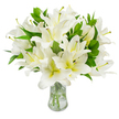 A generous, meticulously arranged bouquet of pristine white lilies fills the frame, each trumpet-shaped bloom captured in soft, even light against a pure white backdrop. The petals are luminous and velvety, layers of broad, snowy white folding outward in graceful curves; nearer each flower's throat a gentle wash of cream or pale yellow-green adds a warm, natural depth. From several open centers rise long, slender stamens with pale greenish-yellow filaments crowned by earthy brown anthers, a subtle punctuation of texture against the bright petals. Deep green, lance-shaped leaves thread between the flowers, glossy and robust, giving the arrangement weight and a living contrast that makes the blossoms appear even more luminous. The stems are neatly trimmed and visible through a clear, classic glass vase with a flared neck; the water inside is bright and reflective, revealing the pale green stems descending to a sturdy base. As a local florist's observation, this bouquet reads as composed and calm-its scent light and sweet, the surfaces soft to the eye, the overall silhouette full and uplifting. The composition suggests both quiet celebration and thoughtful sympathy: suitable as a refined centrepiece for a small gathering, a heartfelt gift for new beginnings, or a serene offering at a memorial. I imagine delivering this arrangement on a cool morning to a home near Grove Park station or leaving it for a neighbour after a service at the nearby church, where its purity and polished simplicity would bring steady comfort and gentle presence to any room.