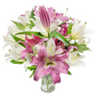 A full, luxurious bouquet of oriental lilies fills the frame, a luminous study in creamy off-white and rich fuchsia-pink tones set against a crisp white background. The composition emphasizes the lilies' sculptural form: broad, silky petals unfurl in trumpet and star-shaped blooms, while some long, pointed buds remain tightly furled toward the top and edges, promising more open flowers in the days ahead. The white lilies carry a soft, warm cream with faint yellow-green throats, their inner stamens tipped with pale anthers; the pink varieties range from deep magenta to velvety fuchsia with lighter veins and occasional creamy centers that catch the light. Dark, lance-shaped foliage threads through the arrangement, its cool green blades offering contrast, depth, and a garden-fresh frame for the blooms. The stems are neatly gathered in a simple clear glass vase visible at the lower centre, the transparent water and trimmed green stems lending an honest sense of freshness and care. Bright, even lighting sculpts each petal's delicate texture and highlights the subtle pollen specks in a few open flowers, inviting the sense of a gentle, sweet lily scent filling the room. As a floral statement the bouquet feels elegant and celebratory-equally suited for a quiet birthday, a thoughtful anniversary, or to brighten a mother's kitchen table. Picturing it delivered to a home near Grove Park station or left on a windowsill overlooking the local green, the arrangement reads as refined, tactile, and distinctly seasonal-handcrafted with attention to bloom stage and harmony of colour for lasting beauty.