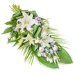 An elongated sympathy spray is arranged diagonally across a pure white backdrop, its form widening at the top left where the stems meet and tapering elegantly to a narrow tip at the bottom right. At the centre, white oriental lilies stand proudly, some open into large, trumpet-like flowers with satin-smooth petals and soft yellow-green stamens, others remaining in tall, closed buds that add height and anticipation. Interspersed with these focal blooms are clusters of Lisianthus, their smaller blossoms creating a delicate counterpoint. The Lisianthus petals are predominantly white, but many show fine lavender or pale purple edges and faint veining, introducing a gentle, almost ethereal colour accent. Small, unopened Lisianthus buds are scattered throughout, adding texture and a sense of continuity. The flowers are anchored by abundant greenery: broad, dark green leaves provide a stable, calming base, and some have been carefully rolled and folded into clean, sculptural shapes that reveal the florist's skilled hand-craftsmanship one might expect from Grove Park Florist. From the right side, slender, arching palm-like fronds extend outward, echoing the curves of the arrangement and recalling the natural sweep of foliage in the nearby park. The colour palette is tranquil and reserved-white, soft lavender, and varied greens-evoking quiet respect and comfort. Imagining it in a Grove Park setting, the light lily fragrance mixed with the scent of fresh leaves would create a gentle atmosphere at a church service, crematorium, or home vigil. This floral tribute feels intentionally designed to offer solace, carrying a message of peace, remembrance, and dignified farewell for a loved one.