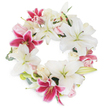 This thoughtfully arranged funeral wreath, fashioned in a perfectly unbroken circle, is displayed on a clear white background-its visual poise a hallmark of Grove Park's gentle landscapes. Dominating the rich composition are plump white lilies, their petals arching outward in elegant formation, symbolizing peace, compassion, and the hope of renewal. Contrasting boldly are fuchsia pink Stargazer lilies, their vivid magenta glow and unique speckles infusing the wreath with both drama and uplifting vibrance. Scattered throughout, clusters of delicate blush and cream roses in various stages of bloom add layers of softness, quiet romance, and textured charm. Minimal yet intentional green foliage-fresh eucalyptus and subtle leafy sprays-punctuates the arrangement, enhancing the sense of fullness while echoing the natural beauty of local parks and riverside walks in Grove Park. The wreath's full-circle design speaks to eternal remembrance and unwavering support, making it a fitting choice for funeral services, memorials, or as a gesture of sympathy delivered intimately within the Grove Park community. Every flourished detail and harmonious color reflects the sensitivity and dedication of a local florist deeply attuned to the needs of neighbors in their time of loss.