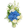 A tall, elegant bouquet photographed against a clean white background, described here as if offered to a customer unable to see it: at the heart sits a dense, rounded cloud of royal blue hydrangeas, their clustered petals velvety in appearance and cooling the composition with a deep, serene blue. Nestled into and below that central mass are several creamy white roses, each with layered, soft petals that open in delicate spirals and lend the design a comforting, classic texture. From the top of the arrangement rise slender, trumpet-shaped white calla lilies, their smooth spathes curving like porcelain and catching a soft highlight along their pale green bases, creating a refined vertical silhouette. Interspersed among these principal blooms are narrow spikes of white snapdragon-like flowers or stock, providing a light, airy contrast and a whisper of movement. Rich, glossy dark green leaves-likely salal or lemon leaf-frame the blooms and give depth, while feathery, lighter-green fern fronds cascade gently toward the vase to soften the overall outline. The flowers are gathered in a clear, tapered glass vase so the long, clean stems and fresh water are visible, emphasising the arrangement's freshness and careful mechanics. The lighting is neutral and even, accentuating texture and true colour rather than dramatic shadow. The overall mood is one of calm sophistication and quiet grace, a composition suited to sympathy or remembrance but equally appropriate as an elegant gift for anniversaries or refined home decor. A florist's hand is evident in the balanced shapes, considered heights, and the way greens cradle each bloom to present a serene, uplifting statement.