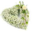 A hush-filled heart-shaped wreath composed almost entirely of cloudlike white Baby's Breath (Gypsophila) fills the frame, each tiny blossom forming a soft, cushiony texture that reads as pure and weightless. The tiny, pearl-white florets are packed into a rounded heart silhouette, their airy density giving the whole piece an appearance of gentle snowfall suspended in still air. Toward the upper right curve, a single creamy-white rose sits like a quiet blessing; its petals are tightly spiralled at the centre and unfurl in subtle cream and ivory tones that catch a cool, diffused light. Around the rose, slender sprigs of eucalyptus-like greenery and glossy variegated ivy trail and tuck into the gypsophila, their deep and slightly silvery greens adding a cool contrast and natural rhythm along the right-hand arc of the heart. The greens introduce a sense of living texture - smooth ivy lobes, waxy midribs and soft, aromatic leaf edges - against the cloud of white. The arrangement is photographed against a clean, pure white background that amplifies the delicate tonal shifts from pearl to cream and the faint shadowing between blossoms. As a sympathy tribute or memorial wreath, it balances simplicity and reverence: the weightless gypsophila suggests memory and breath, the single rose offers focused tenderness, and the trailing foliage lends dignity. A seasoned florist's hands are evident in the even contours and careful placement of contrast, creating an image of quiet consolation and enduring love meant to comfort those attending a funeral or leaving a lasting floral remembrance.