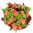 Seen from directly above on a crisp white field, this autumnal bouquet reads like a small harvest, warm and tactile. At its heart a circle of fully opened roses unfurls in soft peach, coral and deep orange, each bloom showing a subtle bicolour gradient where inner petals glow a warm, ripe peach and the outer edges deepen to russet and burnt coral. Between the roses sit clusters of glossy Hypericum berries: some a lively lime-green, others a soft, creamy yellow, their smooth, round surfaces catching light like tiny, edible jewels. Sprinkled through those brighter notes are compact mounds of green trick dianthus - moss-like, almost velvety clusters that add a playful, almost sculptural texture against the roses' velour petals. Rich, lobed leaves in deep burgundy and reddish-brown, reminiscent of fallen oak or maple, are placed to anchor the composition and reinforce the season; they add a dry, rustic counterpoint to the fresh greens and petals. Fresh glossy foliage fills the spaces, creating depth and a sense of abundance, while soft, diffuse light from above casts gentle shadows that reveal the bouquet's layered construction. There's an earthy whisper to the arrangement - the faint scent of rose and green moss - that suggests a walk through a neighbourhood park on an early autumn morning. This arrangement is composed with holiday tables and grateful gatherings in mind, equally suited to a Thanksgiving centrepiece, a seasonal gift, or to bring hand-tied autumn warmth into a Grove Park home. The combination of soft peach, bright orange, creamy berries and multiple greens evokes harvest comfort and quiet celebration.