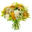 Against a smooth white studio background, a generous hand-tied bouquet glows with the colours and textures of early autumn, standing upright so that each stem and bloom can be clearly seen. At the heart of the arrangement, large chrysanthemums radiate outward in shades of golden yellow, warm orange, and rusty bronze, their fine, spiky petals packed densely together to create a sense of fullness and lively texture. Tucked among them are creamy white roses, their petals velvety and softly spiralled, introducing a touch of classic elegance that gently tempers the bolder, earthier tones. Threaded throughout, distinctive yellow-orange cockscomb celosia add a unique sculptural flair; their velvety, brain-like crests curl and undulate in coral-like formations, catching the light along each ridge. Dotted here and there, clusters of tiny white daisy-style matricaria with bright yellow centres brighten the bouquet, suggesting the carefree charm of wildflower patches near Grove Park's quiet streets and riverside paths. Surrounding the blooms, bright lime-green solidago and an abundance of lush greenery fan outward, building generous volume and framing the warmer shades with a vibrant halo of green. The foliage varies from fine, feathery fronds to sturdier leaves, giving the bouquet a layered, garden-fresh feel while still clearly revealing the guiding hand of a skilled florist at Grove Park Florist. The lighting is bright and even, allowing every detail-from subtle petal veining to the airy tips of the filler stems-to stand out crisply against the white background. The overall mood is warm, inviting, and subtly festive, making this bouquet a beautiful choice for an autumn birthday, a thank-you gift delivered around Grove Park, or simply bringing seasonal colour into a living space.