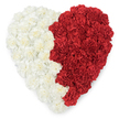 An overhead view of a large heart-shaped composition made entirely from tightly packed carnations, the left side a soft, off-white cream and the right a saturated, classic crimson. The two colour fields meet down the middle along a deliberate vertical seam, the cream side presenting a plush, ruffled surface of layered petals and the red side answering with dense, velvety blooms that seem to glow from within. The texture is richly three-dimensional: each carnation's serrated edges and concentric ruffles are visible, giving the heart a tactile, almost quilted quality. The arrangement rests against a pure white background, which strips away distraction and lets the red-and-cream contrast sing-an image both intimate and emblematic. Laid out in clear, calm light, the piece gives off a faint sweet spice of fresh carnations and the quiet dignity of a crafted tribute. For viewers in Grove Park this design reads as both a personal expression of love and a communal emblem; its two-tone layout is closely associated with national symbolism linked to Bahrain, carrying connotations of patriotism, pride, and cultural memory. Conceived with the care of a neighbourhood florist, the heart would be fitting for community celebrations, embassy events in London, or a respectful display at a local hall near Grove Park Station or Chinbrook Meadows. Its overall effect is one of unity through contrast: softness and fire, consolation and celebration held together in a single, lovingly constructed floral heart that invites touch, reflection, and the comfort of shared identity.