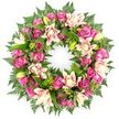 This image shows a lush circular funeral wreath, photographed against a bright white background that makes its colours and forms appear especially vivid. The wreath is constructed as an unbroken ring of flowers, symbolising continuity, and is generously packed with blooms and foliage so that the circle feels solid yet soft. Roses in rich magenta and fuchsia tones are scattered throughout, contrasted with paler blush pink varieties, creating a dance of darker and lighter shades. Each rose is at a slightly different stage, from tightly closed buds to fully open flowers with intricately layered petals, adding a natural rhythm to the design. Between the roses, opulent double lilies open in creamy white, pale pink, and soft peach, their many petals curling and overlapping to form star-like shapes. A few lime-green lily buds, still sealed and pointed, appear among the flowers, bringing a vibrant, youthful touch to the design. The blooms are set into a thick base of deep green foliage: slender fern fronds extend delicately around the outer edge, while broader, polished leaves form the inner structure, giving the wreath volume and a rich, verdant backdrop. The interplay of lush greens with warm pink and cream tones creates a feeling of gentle solace, well suited to funerals, wakes, or remembrance services in Grove Park and nearby neighbourhoods. It is easy to picture this wreath being prepared at Grove Park Florist, then carried out through the quiet, tree-lined streets for delivery to a local church or crematorium, its graceful circle and subtle fragrance offering a tender, respectful tribute to a life remembered.