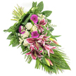 An elongated sympathy arrangement is displayed on a bright white background, its elegant lines and gentle colours creating a calm, reflective mood. The spray begins at the upper left with a compact bundle of stems, then widens through the centre before narrowing into a soft point toward the lower right, suggesting the arc of a falling tear. At the centre, large Oriental-style Stargazer lilies burst open in deep fuchsia-pink, each petal framed in white and flecked with burgundy, drawing immediate attention. Some lilies are fully open, revealing their centres and delicate stamens, while others remain in smooth, tapered buds tinted with green and pink. Around these focal blooms, creamy white roses-mostly buds and half-open flowers-nestle closely, their curled petals symbolising love and honour. Ruffled white carnations provide a gentle, textured backdrop, and vivid magenta gerbera daisies add concentrated bursts of colour that speak of treasured memories. Fine sprays of tiny white daisy-like filler flowers weave between the larger blossoms, adding lightness and detailed interest. A lush bed of foliage supports the design: broad, glossy dark green leaves give structure and contrast, feathery fern fronds soften the overall outline, and long, slender blades of greenery sweep downward and outward, reinforcing the cascading, teardrop shape. The arrangement has the look of something freshly crafted in a local Grove Park workshop, perhaps destined for a nearby chapel or a quiet home off Grove Park Road, where it would rest as a loving, visual expression of sympathy. The mood is gentle and respectful, ideal for funerals, memorial services, or sending condolences when a spoken message might feel too small.