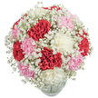 Brimming with fresh colour and soft texture, this bouquet from a Grove Park florist blends velvety red, blush pink, and creamy white carnations into a harmonious, rounded cluster that draws the eye and stirs the heart. Around each richly petalled bloom, a delicate constellation of Baby's Breath introduces a whimsical, airy brightness-like spring clouds passing over Grove Park's quiet lanes. The carnation flowers sit closely nestled, their lush, layered petals conveying reassurance and affection, while the glass vase glimmers beneath, suggesting freshness and simple elegance. Thoughtfully composed, the arrangement sends a message of warmth, gratitude, and celebration-perfect for birthdays, anniversaries, or just as a gesture to lift someone's spirits within the Grove Park community. The interplay of bold and gentle hues, set against the pure white backdrop, highlights the bouquet's natural beauty, confirming the skilled touch of local florists and the enduring joy gifted by a classic floral arrangement.