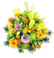 A lush, mounded bouquet captured against a clean white background, smelling faintly of sweet Asiatic lilies and a whisper of leafy green - the composition feels like a small, jubilant garden gathered into one hand-tied piece. Bright yellow Asiatic lilies dominate, some opened wide to reveal freckled throats and stamens, others still elegant, chartreuse-tipped buds reaching upward to give vertical motion. Soft lavender-purple roses sit tucked into the middle, their velvety spirals offering a gentle, romantic counterpoint to the more exuberant blooms. Large orange Gerbera daisies punctuate the mass with bold, flat faces and darker centers, while lime-green button chrysanthemums create plush, ruffled pockets of texture that make the arrangement feel abundant and alive. Scattered throughout are small spherical orange and golden-yellow accent blooms, their slightly spiky forms introducing playful contrast, and several steely blue-grey Eryngium thistles emerge at the edges like architectural punctuation, their bristly, sculptural heads cooling the warm palette. A variety of glossy and matte foliage - broad lily leaves and slender, serrated fillers - frames the flowers and deepens the visual layers. Bathed in soft, neutral studio light, the bouquet reads as both cheerful and composed: suitable for a birthday, a bright-thinking get-well, or as a centerpiece that lifts a living room. As a florist working around Grove Park green spaces, I imagine it placed on a kitchen table after a trip to Chinbrook Meadows, the scent and colour carrying the optimism of late spring into any modest London flat.