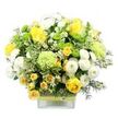 A full, rounded bouquet arranged in a clear, square glass vase glows with a cheerful mix of yellow, white, and green, bathed in even light against a clean white background. At its core, several yellow roses open generously, their velvety petals layered in soft spirals, while nearby buds suggest petals still waiting to unfurl. Surrounding them, clusters of yellow spray roses provide a flurry of smaller blooms, building volume and giving the impression of abundance. Between these sunlit tones, white pompom chrysanthemums tuck in like soft, round cushions, their densely packed petals adding both structure and a sense of calm. Accenting the design, bright lime green button chrysanthemums appear as neat, spherical dots of colour, while larger, feathery pale green flowers-immediately reminiscent of frilly green carnations or speciality chrysanthemums-bring a gentle, contemporary flair. Lush greenery gathers around and between the flowers: broad variegated leaves edged in creamy white catch the light, and slender, darker fronds weave in and out, contributing depth and a natural, garden-inspired character. Tiny, star-like white filler flowers are scattered delicately through the bouquet, giving a light, airy softness to the arrangement. The stems are visible through the clear glass of the vase, which is wrapped at its middle with a rustic band of natural, bark-like or woven fibre, overlaid with a bright green ribbon that mirrors the vivid lime flowers above. The overall effect is of a joyful, polished arrangement that would sit comfortably on a kitchen table in Grove Park, brighten a meeting room near Chiswick High Road, or greet guests in a hallway overlooking the Thames. It carries a mood of gentle celebration and everyday happiness, perfect for birthdays, thank-you gifts, or simply lifting the atmosphere of a local home or office.