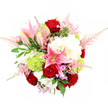 A lush, rounded bouquet dominates the frame in this overhead, slightly angled studio shot, its profusion of blooms contrasted against a pure white background that intensifies each rich shade and subtle highlight. Dense clusters of deep red roses create an immediate focal point, their velvety petals spiralling inward in classic rose form, evoking romance, admiration, and heartfelt sentiment. Threaded among them, pink stargazer lilies rise elegantly, some open to reveal speckled, star-like petals and prominent stamens, others held in smooth, elongated buds that promise continued beauty in the days after delivery to a Grove Park doorstep. Generous heads of creamy white hydrangeas wrap around these central blooms, their ruffled petals forming a soft, billowing base that brings both structure and an impression of abundant generosity. Bright lime-green pom-pom flowers nestle between the hydrangeas and roses, their fine, mossy texture and vivid colour injecting a modern twist that feels well suited to contemporary homes near the Thames. From the edges of the bouquet, delicate plumes of blush pink astilbe float outward, creating a gentle halo that softens the bouquet's outline and adds light movement, like a breeze through nearby Dukes Meadows. Tiny hints of lavender and fuchsia filler blossoms peek through, giving small but delightful sparks of additional colour. Dark green, glossy leaves and slender, fern-like fronds interlace the design, framing the more vivid blooms and enhancing their depth. The overall mood of the bouquet is both celebratory and soothing, ideal for anniversaries, birthdays, or as an elegant Grove Park dinner-table centrepiece, each carefully placed flower reflecting the skilled eye of a local florist and the quiet charm of the neighbourhood.