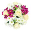 Captured from directly above, this bouquet forms a dense, circular arrangement of cream-white roses, white daisy-style chrysanthemums, and bright fuchsia spray chrysanthemums, displayed against a pristine white background as if set on a table in Grove Park Florist. The roses, with their richly layered spirals of petals, are scattered evenly through the design, adding soft, creamy highlights that naturally draw the eye. Around them, clusters of white chrysanthemums create a smooth, textured blanket; each flower's neat petals frame a yellow-green centre that adds a gentle, refreshing contrast. Woven between these are sprays of magenta chrysanthemums that inject vibrant colour and a sense of energy. Some magenta blooms are fully open with multiple, finely cut petals, while others are still compact buds, suggesting a bouquet that will continue to open and delight over several days. Small flashes of dark green foliage appear between blossoms, giving structure and grounding the lightness of the whites, as if the bouquet has just been gathered from gardens lining the quiet roads of Grove Park. The lighting is uniform and bright, allowing the nuanced tones of cream, white, and fuchsia to be clearly distinguished and making the petals' textures appear almost touchable. Overall, the bouquet feels joyful yet refined, ideal for delivering warm wishes to a friend in nearby Chiswick, thanking a host after a dinner in Grove Park, or bringing a bright focal point to a calm living room. The composition balances playfulness and elegance, ensuring that every flower contributes to a harmonious whole.