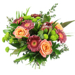 Photographed against a bright white background, this generously composed, hand-tied bouquet showcases a harmonious blend of warm blooms and fresh greenery that feels both modern and timeless. At the core, fully open roses in soft peach and golden apricot tones reveal layer upon layer of satiny petals, creating a gentle, romantic focal point. Surrounding them, Gerbera daisies in rich magenta and muted rose shades spread their wide, daisy-like faces, each with a contrasting yellow or orange centre that brings a burst of energy, like a pocket of sunshine breaking through over Grove Park. Standing slightly above the rest, an eye-catching Protea with its elongated, cone-shaped head and deep maroon bracts introduces an exotic, textural accent that anchors the entire composition. Tucked around these feature flowers are numerous button chrysanthemums in vivid lime green; their neat, spherical forms and almost moss-like texture add a playful rhythm and a cool contrast to the warmer tones. The bouquet is framed with an abundance of foliage-shiny, broad leaves, long slender blades, and airy sprigs of eucalyptus that arc outward, giving the arrangement volume and a natural, garden-fresh feel, much like a stroll through nearby Chiswick House Gardens after rain. All the stems are gathered tightly at the base in a classic hand-held style, ready to be slipped into a vase on a Grove Park dining table or hallway console. The overall impression is of considered abundance and easy elegance, ideal for heartfelt celebrations or simply bringing a welcoming glow into the home.