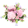 This image features a sumptuous, hand-tied bouquet composed of soft pinks and gentle lilacs, photographed against a plain white background so that its colours and textures take centre stage. Three large hydrangea heads in pale, blush pink sit at the heart of the design, their many small florets clustering together into rounded, cloud-like domes that create a sense of generous fullness. Tucked around them are elegant blush roses in different stages of bloom: some completely open, their spirals of velvety petals on full display, others still hugging their centres in tighter buds that whisper of blooms yet to come, reminiscent of the first rosebuds appearing in Grove Park gardens each spring. Interwoven with these larger flowers are little sprays of star-shaped filler blossoms-probably waxflower-in deeper shades of magenta and fuchsia, which punctuate the softer tones with pockets of vivid colour and fine, lacy texture. Lifting the eye are several slender stems of bell-shaped flowers in lavender and periwinkle blue, likely campanulas, whose gently arched cups peek just beyond the main body of the bouquet, adding a cool, whimsical touch, like tiny bells ringing above the petals. Fresh green foliage, from broad hydrangea leaves to lighter leafy sprigs, surrounds and supports the blooms, enhancing the impression of a freshly gathered spring garden arrangement. The overall mood is tender, romantic, and quietly celebratory, ideal for illustrating a bouquet chosen for anniversaries, milestone birthdays, or Mother's Day, and perfectly suited to same-day delivery across Grove Park and neighbouring areas along the river.