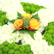 In the photograph, a beautifully arranged funeral cross lies against a neutral background, radiating a sense of calm and solemn beauty. The structure of the cross is entirely blanketed by white chrysanthemums, their tightly layered petals forming a plush, continuous surface that speaks of purity and peace. At the centre of this white field, three fully open roses in rich tones of tangerine, warm apricot, and golden yellow sit closely together, their velvety petals curving outward to create a warm, comforting focal point. Around these roses, small tufts of bright green filler and clusters of smooth green berries introduce lively texture, while slender, fern-like leaves stretch elegantly from behind, framing the central cluster with natural grace. Along each arm and down the vertical length of the cross, rounded domes of lime-green button chrysanthemums are nestled into the white base, each one a vivid, moss-like mound that stands out in gentle, rhythmic repetition. Together, the green, white, and orange shades subtly recall the Irish tricolour, making the cross especially suitable for families in Grove Park wishing to honour Irish roots or mark an Irish-themed memorial gathering. The lighting is soft and even, showing off the freshness of every bloom and the thoughtful craftsmanship that has gone into the design. It feels like a tribute created with care by a Grove Park florist for delivery to a quiet funeral service, chapel of rest, or graveside committal, where it will speak silently of love, memory, and hope.