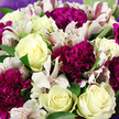 Captured in a detailed, eye-level close-up, this bouquet feels as if it has just been turned toward you by a skilled florist at Grove Park Florist, inviting you to explore every petal. The heart of the arrangement is formed by creamy white roses, their petals arranged in delicate spirals, some still gently cupped and others opening into fuller blooms, a faint blush of pale yellow glowing from the deepest centre of a few. Nestled around them are velvety carnations in deep magenta and intense purple tones, the petals densely layered and softly frilled, building plush, rounded flower heads that introduce drama and a sense of soft luxury. Intertwining with these larger blossoms are sprays of white alstroemeria, their long, narrow petals arching outward, dusted with fine raspberry and burgundy streaks and speckles, which lend an airy, almost whimsical grace to the bouquet. Between the blooms, rich green foliage peeks through, the leaves smooth and cool-toned, offering contrast and structure while allowing each flower to stand out clearly. Encasing the outer edge of the arrangement is a soft wrapping in muted lavender and pale purple, visible along the top and sides, gently cupping the bouquet and echoing the cooler shades of the carnations. The lighting is soft and even, revealing the satin-like finish of the roses and the intricate ruffles of the carnations without harsh glare, creating a sense of intimacy and calm. This bouquet radiates thoughtful elegance and warmth, perfect for same-day delivery around Grove Park, whether to mark a birthday near the station, express gratitude after a riverside gathering, or simply bring a touch of refined beauty into a quiet, leafy home.