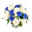 A soothing blue and white floral arrangement, designed as a sympathy bouquet, is displayed in a clear glass vase and photographed from a gently elevated perspective against a pure white background, giving it a calm, almost weightless presence. The bouquet is tightly gathered into a rounded, domed shape, brimming with roses and delicate supporting blooms that blend into a harmonious whole. Rich royal blue roses are scattered evenly through the design, their velvety petals swirling inward to deep centres, like small pools of colour that anchor the eye. Between them, creamy ivory roses open in soft spirals, their smooth, luminous petals providing a gentle contrast that brightens the entire arrangement. Woven among the roses are slender stems of white freesia, each carrying clusters of small, bell-shaped flowers that add lightness, texture, and an imagined whisper of fresh, sweet scent. Fine sprays of white gypsophila, known as baby's breath, are threaded throughout the bouquet, filling in spaces with tiny cloud-like blossoms that enhance its lush, full appearance. Around the base, dark green foliage emerges in subtle arcs, giving structure, depth, and a natural frame that recalls the leafy, quiet avenues of Grove Park. The transparent cylindrical vase reveals the gathered stems and a small depth of clear water, with a ribbed base that softly catches the light and adds discreet visual interest. Overall, the arrangement feels peaceful and sincere, an elegant way to convey sympathy, honour cherished memories, and offer gentle comfort to families and friends in the Grove Park area.