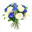 A serene, rounded bouquet of roses is presented against an immaculate white background, its subtle elegance echoing the tranquil, residential feel of Grove Park. The design features an even interplay between deep blue and creamy ivory roses, carefully nestled together in a hand-tied, dome-shaped cluster. The blue roses are saturated with a rich sapphire tone, their many velvety petals curling and layering in intricate spirals that invite closer contemplation. In contrast, the cream roses offer a softer, more luminous presence, their lighter petals unfurling more gently, catching the light in a way that brings a quiet warmth to the arrangement. Fine, branching stems of white baby's breath are interwoven throughout, their tiny, cloud-like blossoms resting just above and between the larger rose heads, lending an airy, almost weightless texture that softens the bold colour contrast. Encircling the outer edge, dark green foliage, similar to Ruscus, peeks out here and there, grounding the design in natural freshness and adding depth around the base of the bouquet. The stems extend below the mass of blooms, tightly gathered and neatly trimmed, ready to slip into a favourite vase or be offered by hand as a sympathy tribute. Bright, neutral lighting makes every detail visible, from the gentle curvature of each petal to the fine branching pattern of the gypsophila. The overall impression is one of composed dignity and gentle support, an arrangement that would feel at home at a memorial service, on a side table in a quiet living room, or arriving as a thoughtful, comforting delivery to friends and family throughout Grove Park.