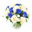 The image presents an elegant sympathy bouquet of blue and ivory roses, carefully arranged in a transparent glass vase and set against a spotless white studio background, which emphasises the clarity and balance of the design. The bouquet is shapely and rounded, with approximately half of the roses in a deep, royal blue and the remainder in a soft, creamy ivory, their petals unfolding in layered curls that seem both delicate and strong. The blue roses convey a sense of enduring memory and quiet depth, while the ivory blooms introduce warmth and compassion, resulting in a soothing interplay of tones. Gently threaded between the roses are stems of white freesia, their slim, arching forms bearing both buds and open, trumpet-like flowers that bring a light, airy movement and a whisper of their sweet fragrance to mind. Fine sprigs of baby's breath are dispersed throughout the design, their tiny, cloud-like white blossoms filling in gaps and softening the overall impression. Dark green leaves provide a lush backdrop, wrapping around and among the flowers so that the colours appear more vivid and grounded. The glass vase is simple and unadorned, its clear sides revealing the fresh green stems standing in clean water, suggesting an arrangement recently prepared by skilled hands at a Grove Park florist. Soft, even lighting illuminates each bloom, enhancing the depth of the blues and the gentle glow of the ivory petals without casting harsh shadows. Together, these elements create a bouquet that feels peaceful and sincere, ideal for sending condolences or accompanying a memorial service in Grove Park, Hounslow, or nearby riverside communities.