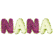 A soft, handcrafted tribute spells the familiar name NANA in plump, three-dimensional letters set against a clean white background, each character evoking the warmth of a handmade keepsake rather than a conventional bouquet. The first and third letters are a sumptuous plum-purple - a deep magenta with subtle cool undertones - their surfaces appearing like chunky knit or fluffy felt, the fibres caught by a gentle side light so you can almost sense the cushioned texture under your hand. The alternate letters are a tender, creamy ivory with a hint of pale daffodil yellow at the heart, lending a sunlit softness that balances the richer purple. Around each letter a slender, lime-green trim traces the contour: at first glance it might read as pleated ribbon, but it could also be tightly gathered foliage, its bright verdant tone adding a crisp, living outline that lifts the shapes from the white field. There is a comforting tactile quality to the piece - the rounded, slightly raised edges, the cozy visual weight of each letter - and the whole composition reads as both whimsical and reverent. This design suits a nursery wall, a handmade memorial, or a thoughtful gift for a grandmother whose rooms are full of quilts and familiar textures; in Grove Park it feels at home whether given after a quiet service near Grove Park Station or left on a mantel for a family gathering on Baring Road. The maker's hand is evident in the proportions and finish, and the calm palette invites touch, memory, and the gentle hush of remembrance.