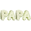 A tender, dignified tribute spells PAPA in four large, uppercase letters composed of dense clusters of pristine white spray chrysanthemums. Each letter rises in a gentle dome of petals, the blooms closely packed so the surface reads soft and almost textile to the touch; slight ruffling at the flower edges catches soft studio light and throws faint, pearly shadows across the white background. A narrow, wavy border of pale lime-green ribbon and small light-green foliage traces each character, its folded pleats and tiny leaves giving crisp definition and a fresh, natural edge that separates the letters from the stark white backdrop. From a florist's perspective you can almost sense the faint, comforting scent of chrysanthemums - clean, green, and quietly floral - an olfactory whisper that steadies the arrangement's solemn mood. The composition is horizontal and balanced, each letter evenly spaced to read clearly from a distance at viewings or beside a casket. This style of floral lettering is traditionally chosen for funerals, memorial services, and graveside tributes to a cherished father or grandfather, where the intimate word PAPA expresses close family feeling and private grief. The white-and-green palette here reads as peaceful and pure, meant to soothe and honour; its craftsmanship speaks of a practiced hand shaping small blooms into a heartfelt message of remembrance. For families in Grove Park and neighbouring Hither Green or Lee seeking a personal memorial, this arrangement offers a quietly beautiful way to say farewell while keeping the tone respectful and loving.